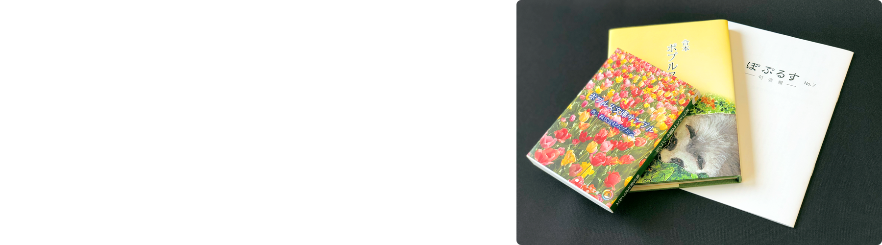 本のセット