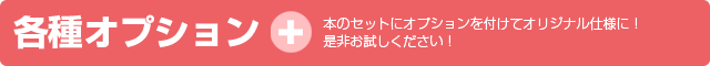 各種オプション