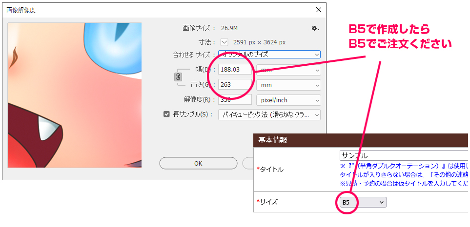 原稿サイズ